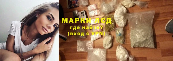 шишки Абаза