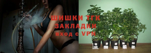 шишки Абаза
