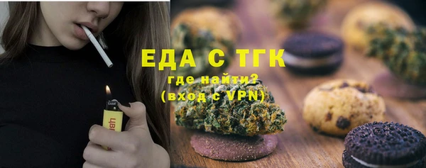 шишки Абаза