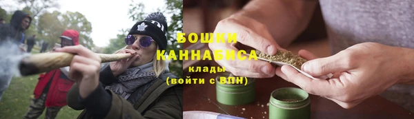 шишки Абаза