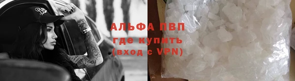 шишки Абаза