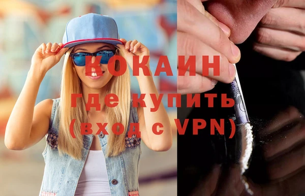 шишки Абаза