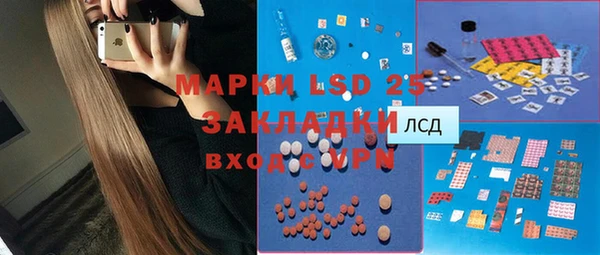 шишки Абаза