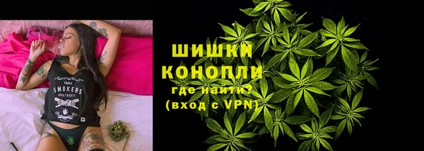 шишки Абаза