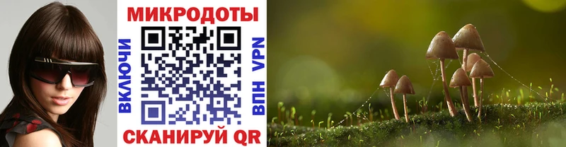 Псилоцибиновые грибы Psilocybe  Татарск 